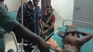 Wasp Attack in Manjeri