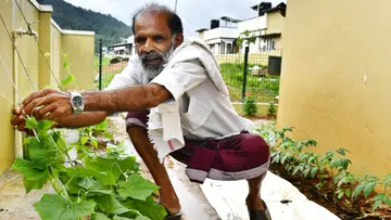 Wayanad township.jpg