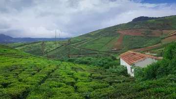Western Ghats