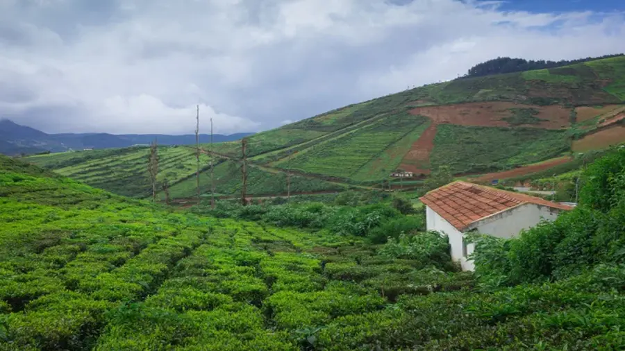 Western Ghats