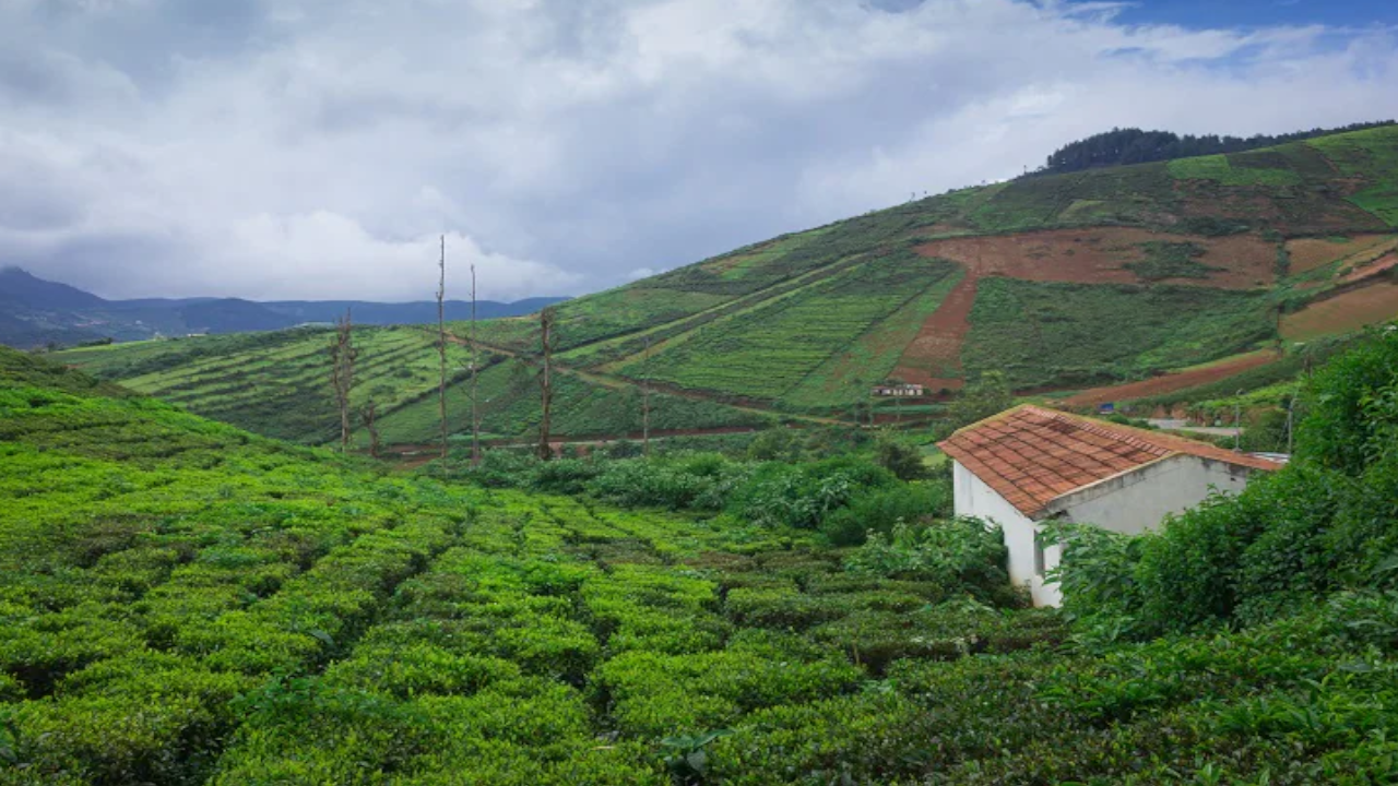 Western Ghats
