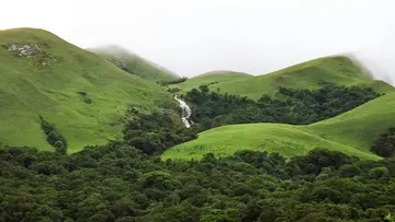 Western ghats.jpg