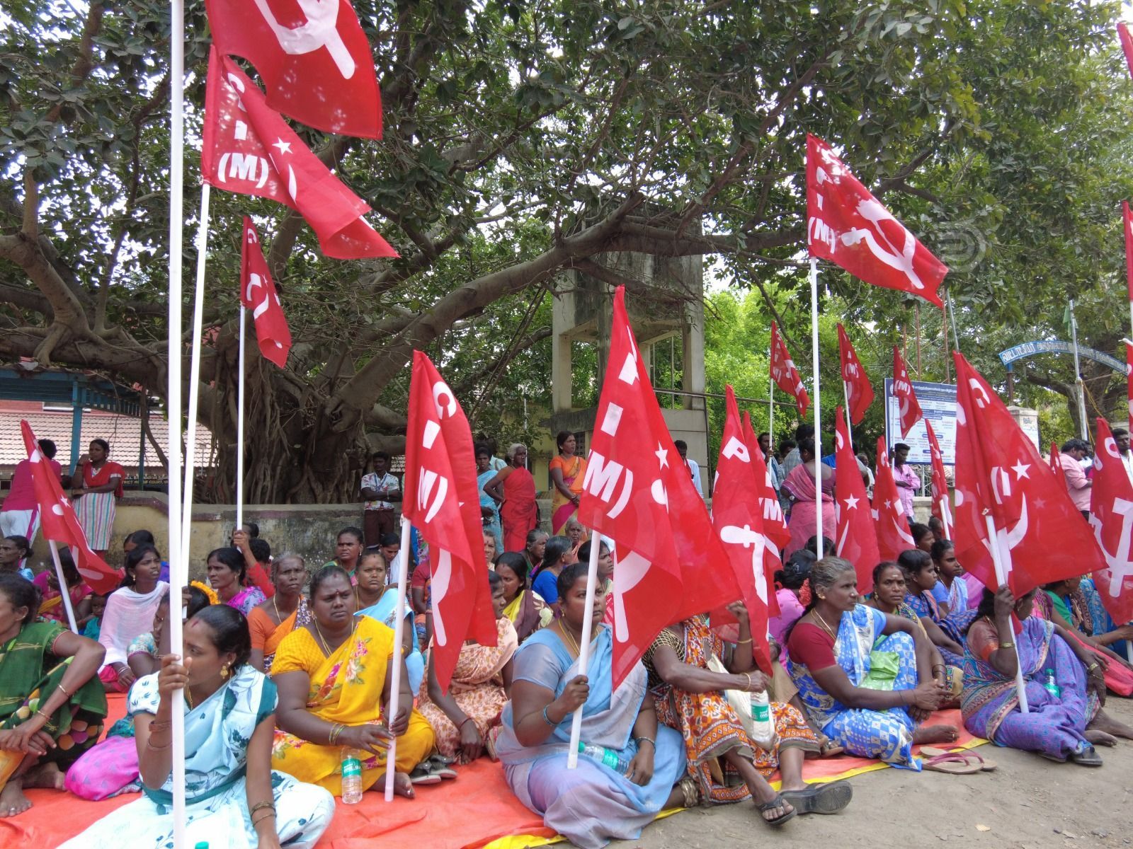 cPIM PRotest