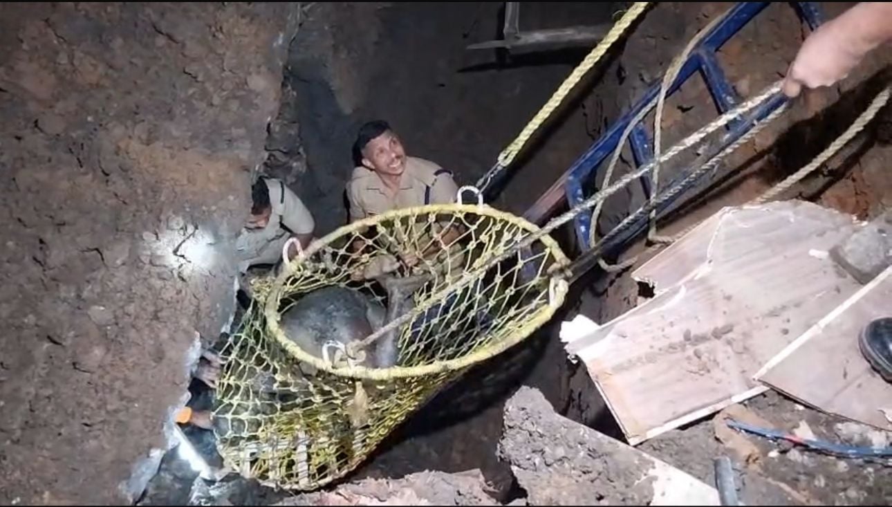 കട്ടപ്പനയിൽ ഹോട്ടലിന്റെ ഡ്രെയിനേജിൽ കുടുങ്ങിയവരെ പുറത്തെത്തിക്കുന്നു