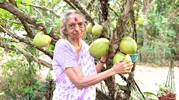 കൊല്ലക്കയിൽ ദേവകിയമ്മ  തപോവനത്തിലെ കമണ്ഡലു മരത്തിന് സമീപം  