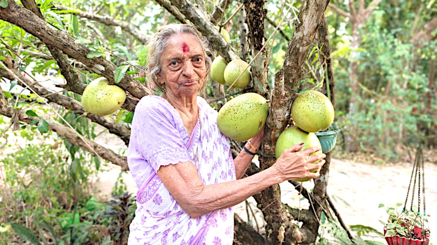 കൊല്ലക്കയിൽ ദേവകിയമ്മ  തപോവനത്തിലെ കമണ്ഡലു മരത്തിന് സമീപം  