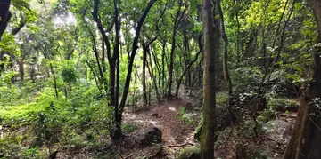 ഉറവ വറ്റിയ കലശമല 