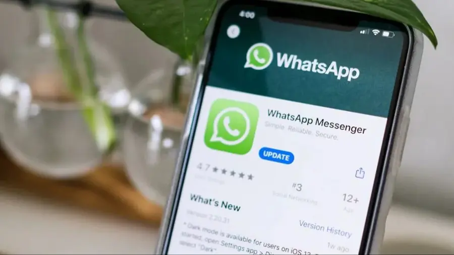 Whatsapp.jpg
