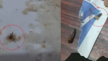 Worms Found.jpg