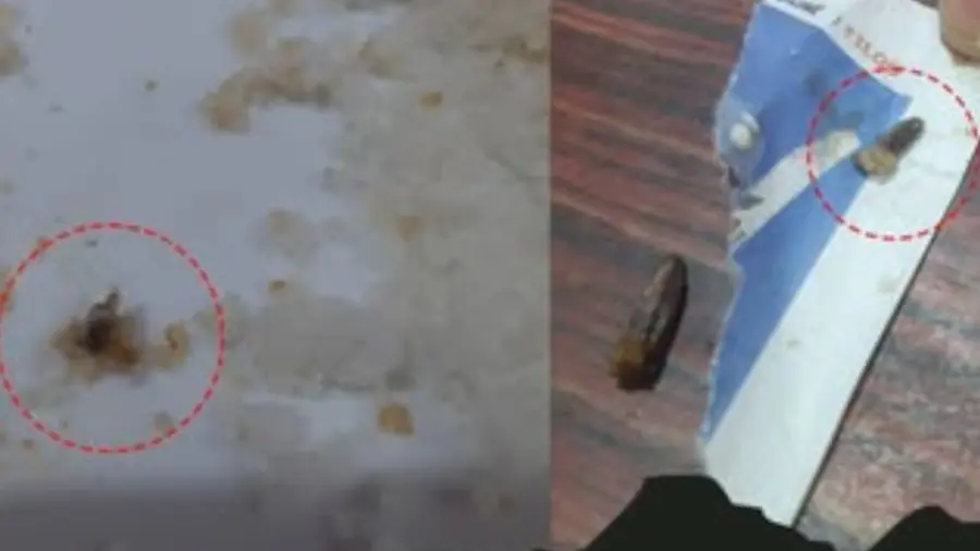 Worms Found.jpg