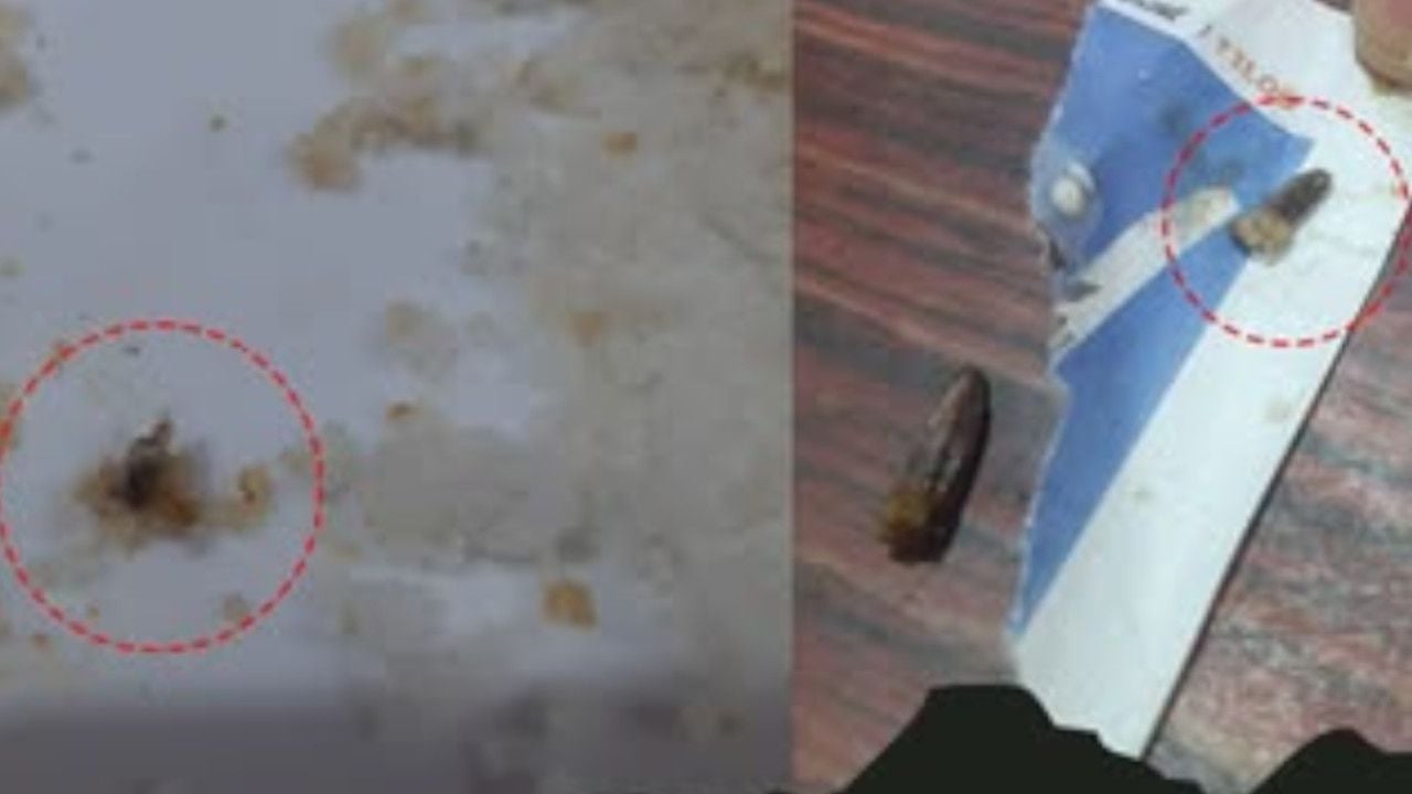 Worms Found.jpg