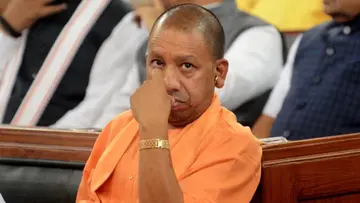 Yogi.jpg