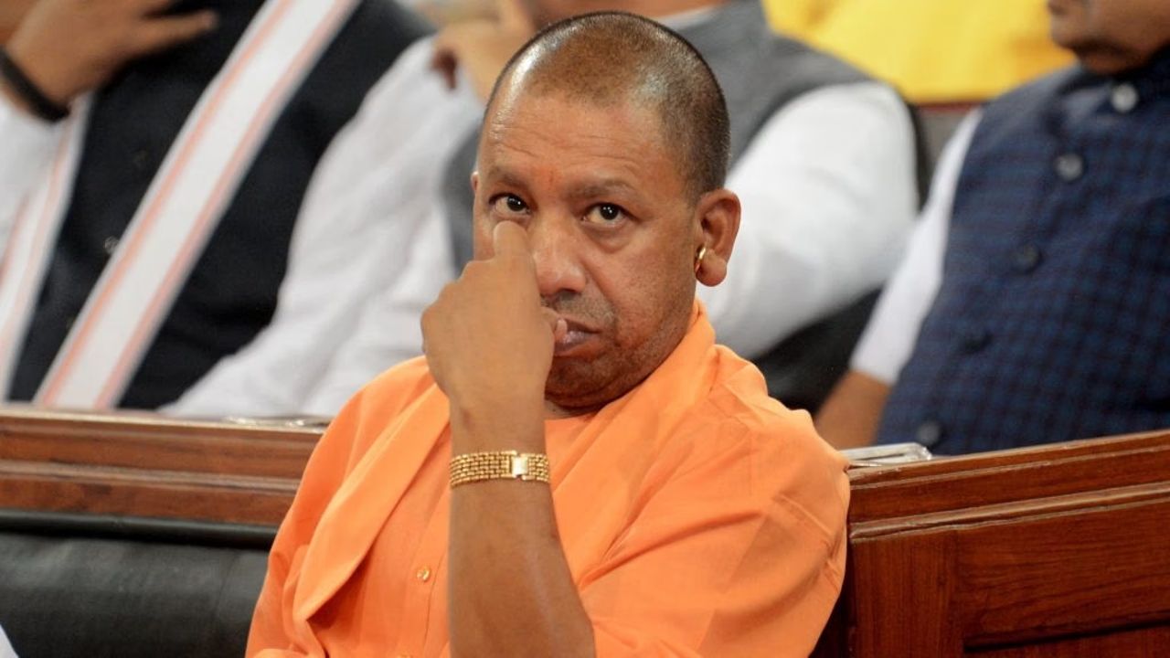 Yogi.jpg
