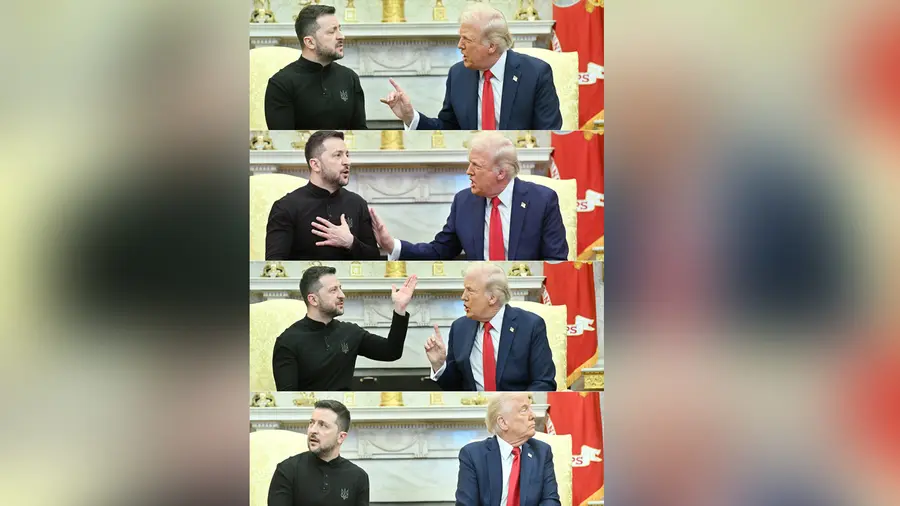 Zelenskyyand trump