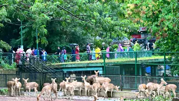 Zoo.jpg