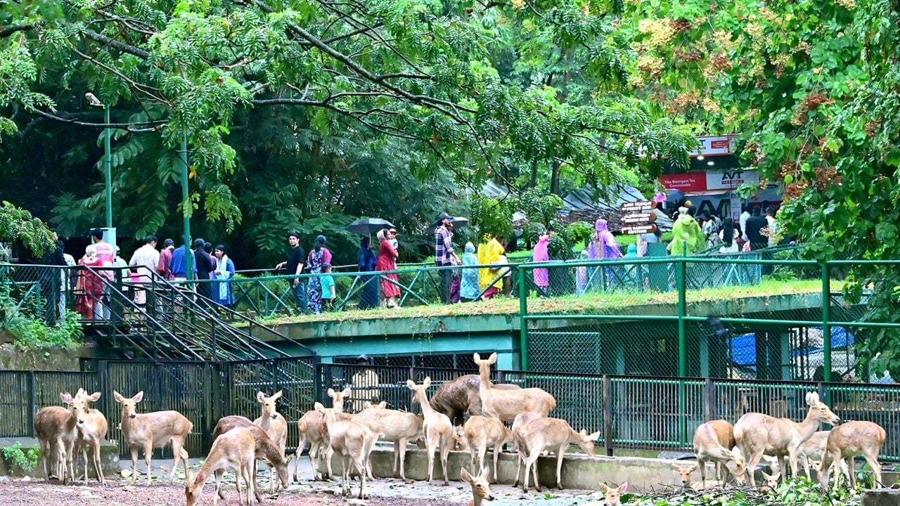 Zoo.jpg