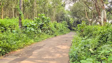 Road