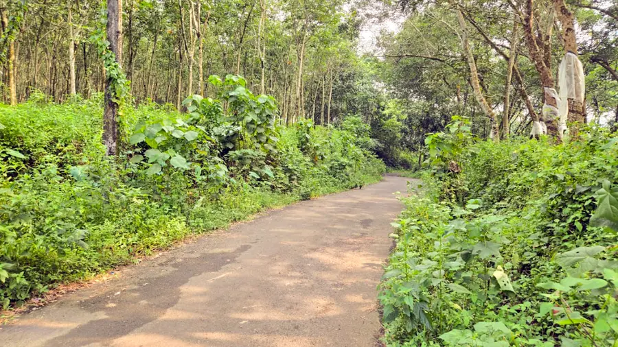 Road