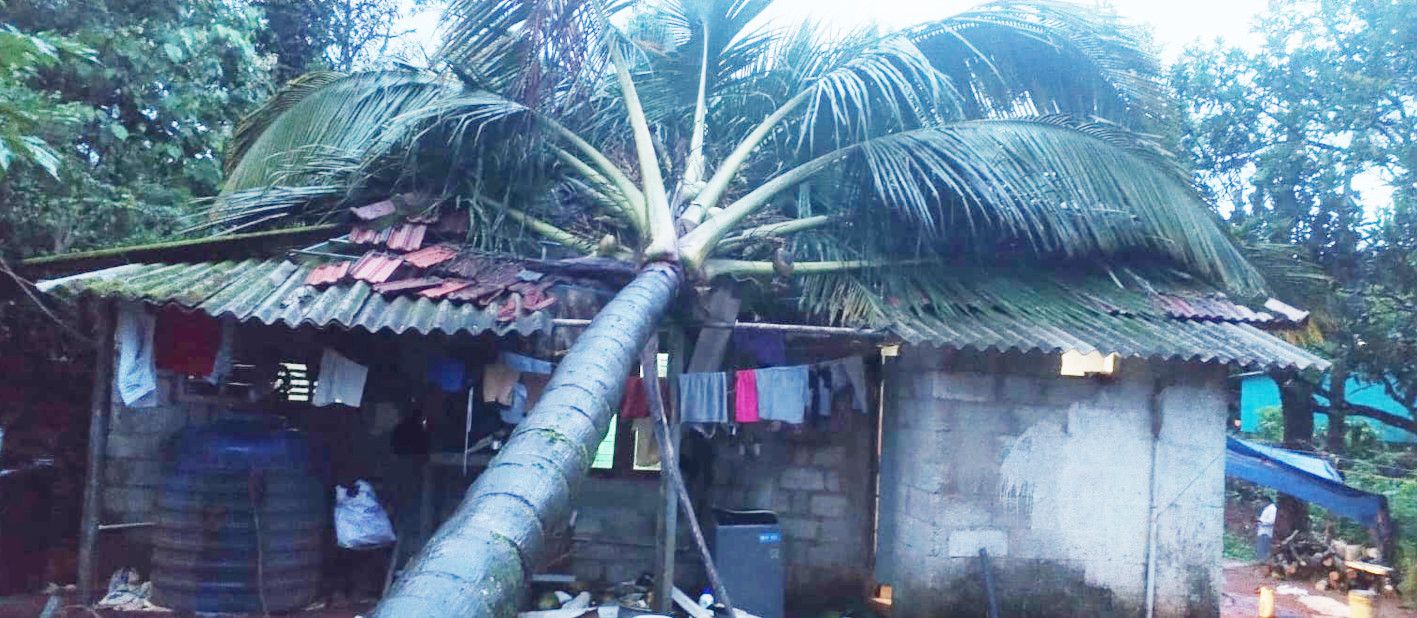 കാട്ടാനയുടെ പരാക്രമം