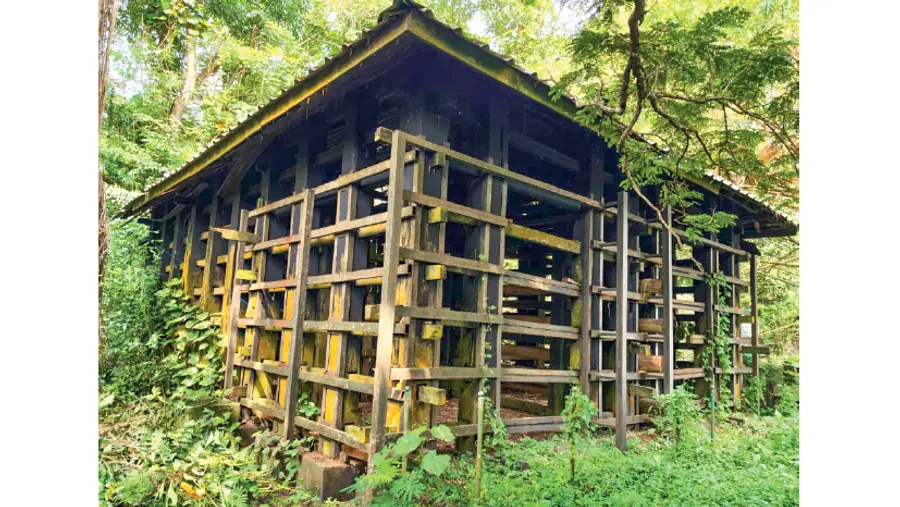 kodanad