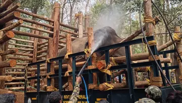 Wild Animals Encounter