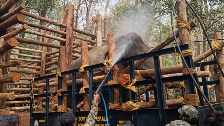 Wild Animals Encounter kerala model