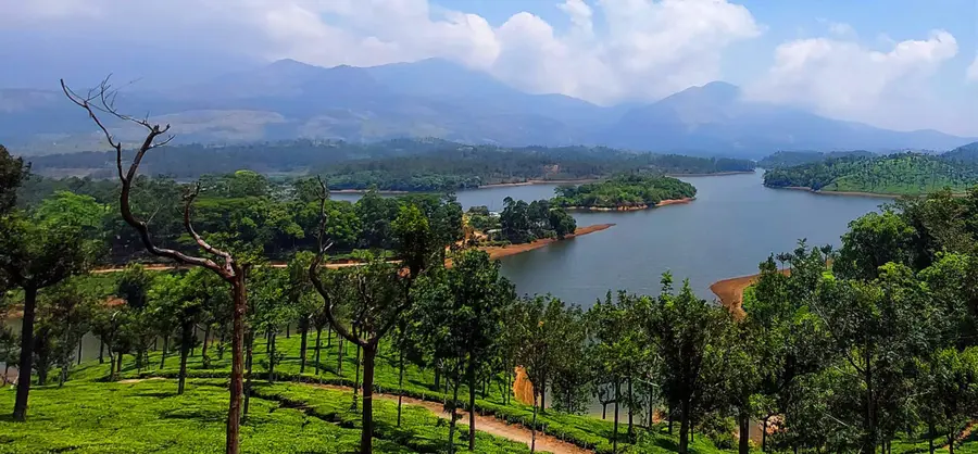 ടാറ്റാ ടീയിലെ തേയിലക്കാട്ടിൽ നിന്നും ആനയിറങ്കൽ ജലാശയത്തിൽ