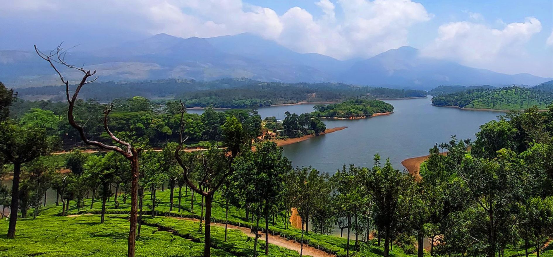 ടാറ്റാ ടീയിലെ തേയിലക്കാട്ടിൽ നിന്നും ആനയിറങ്കൽ ജലാശയത്തിൽ