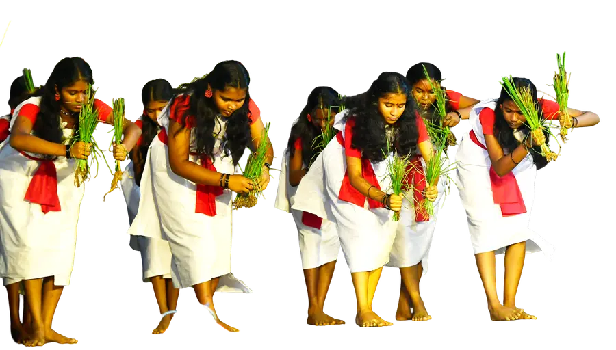 എച്ച്എസ്  പണിയ നൃത്തം, എകെഎംഎച്ച്  എസ്എസ്,  പൊയ്യ - മാള