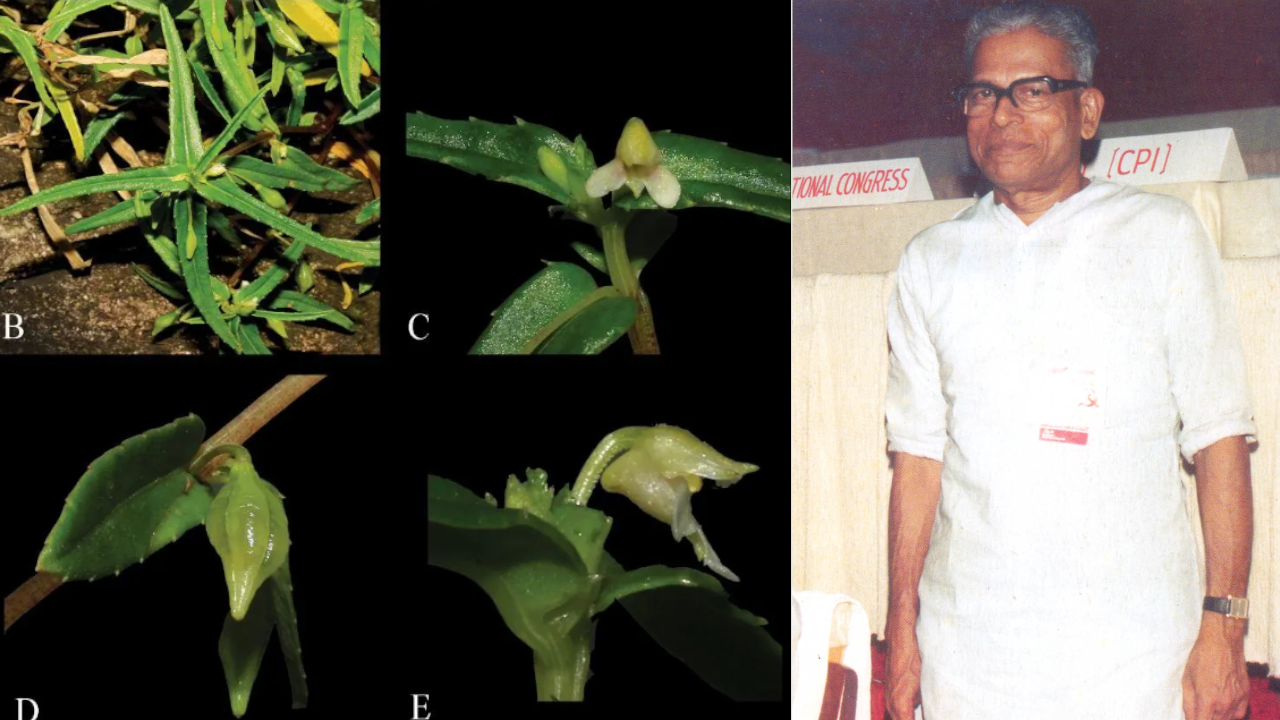 V S Achuthanandan