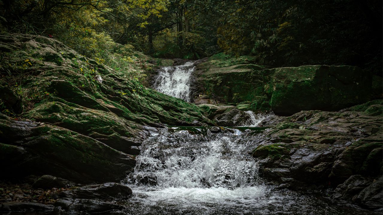 agasthyarkoodam Rajeesh Lal