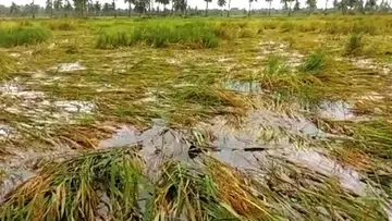 agri