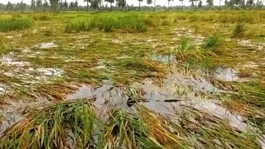 agri