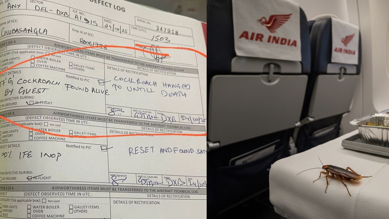 air india log