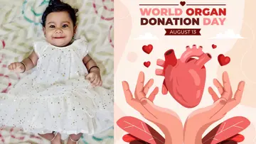 alin organ donation day