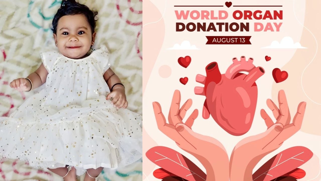 alin organ donation day