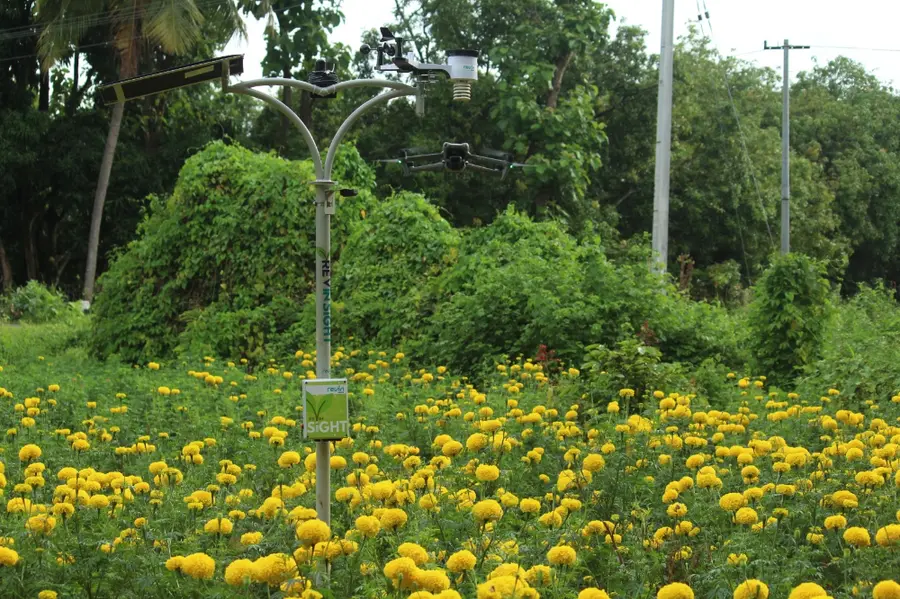 Artificial intelligence to make rice smart