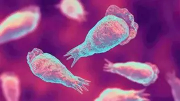 The district health system is on high alert as cases of amebic encephalitis are likely to increase during the summer.