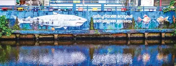 സൗന്ദര്യവത്കരണത്തിന്റെ ഭാഗമായി വാണിജ്യ കനാലിന് സമീപം വരച്ച ചിത്രം 