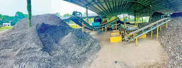 Sarvodayapuram Malinya Plant