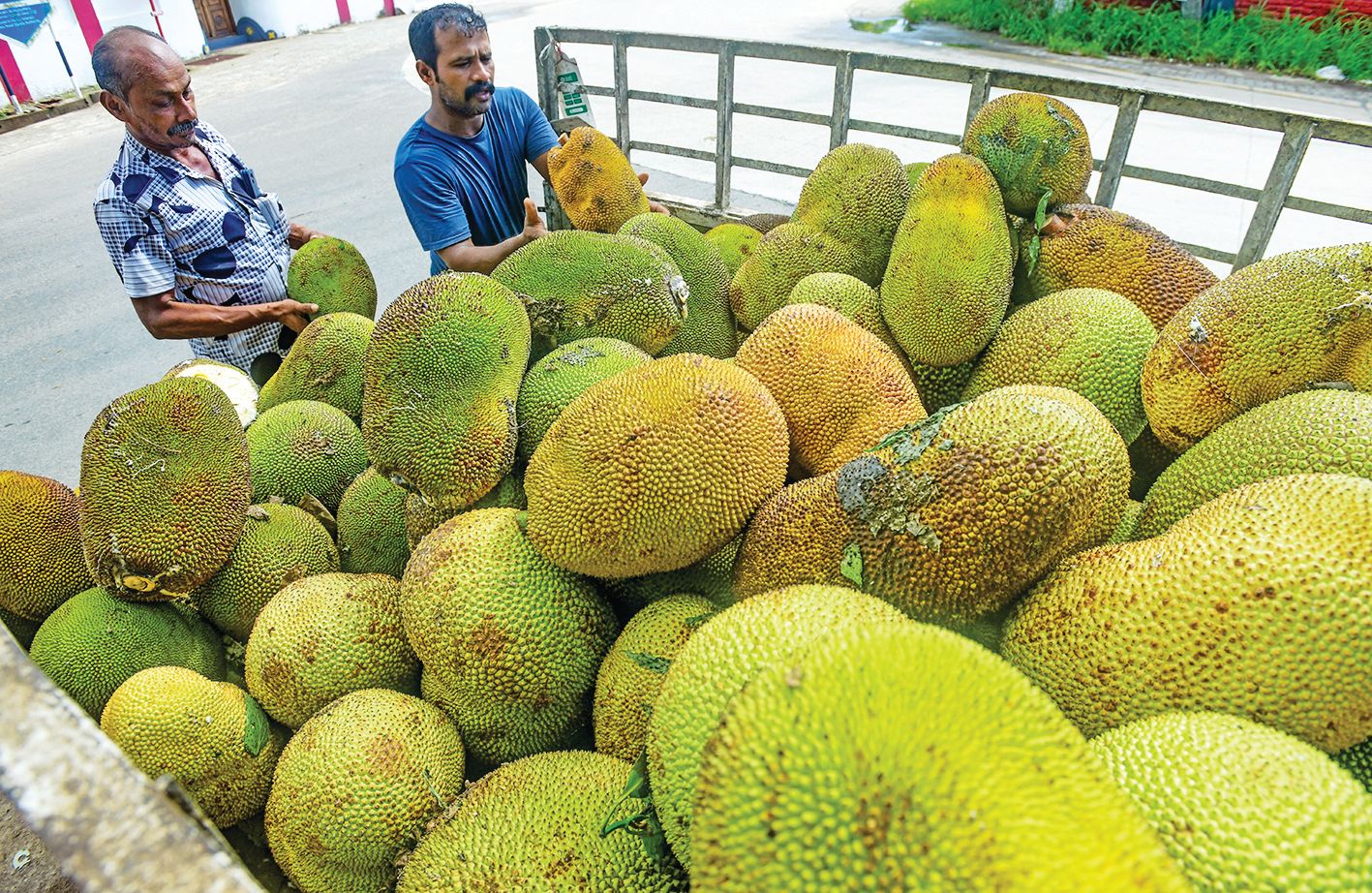 ചക്കവിപണി