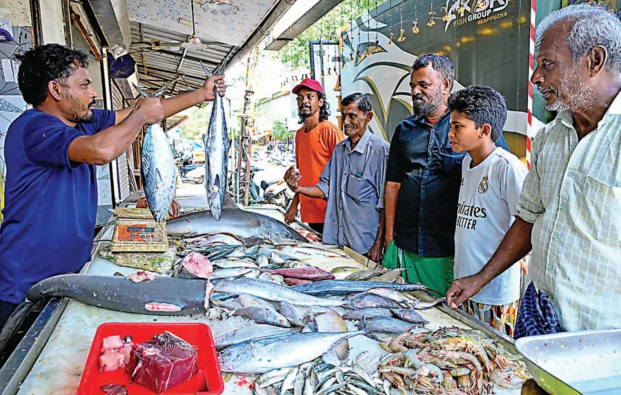 ആലപ്പുഴ സക്കറിയ ബസാറിലെ ഫിഷ് മാർക്കറ്റിലെ തിരക്ക് 