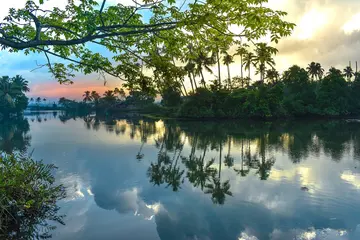 kadamakkudi aneesh