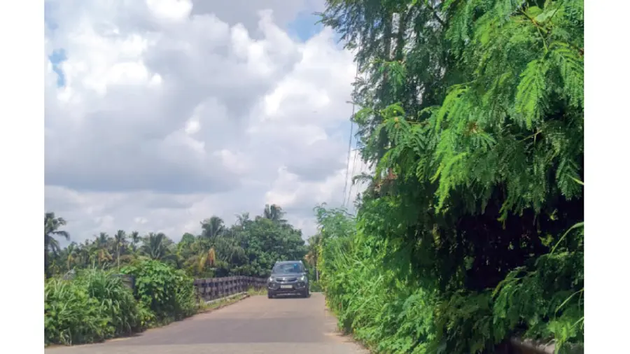 Angadikkadavu Bridge