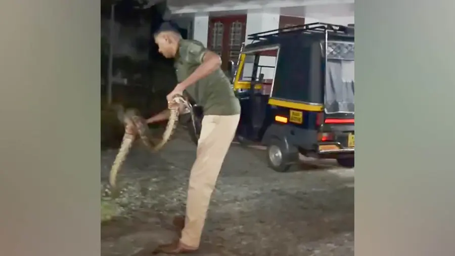 python