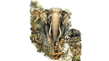 animal attack