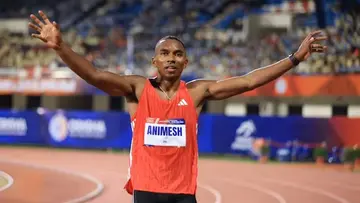 animesh kujoor