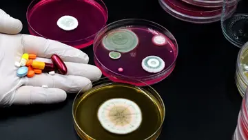antibiotic resistance