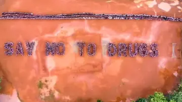 anti drug awareness campaign