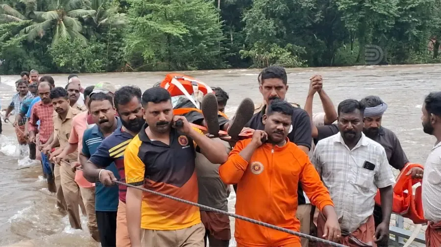 arayanjilimannu